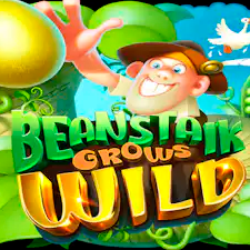 Beanstalk Grows Wild